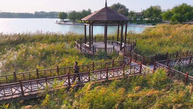 广饶初冬的仪式感来了！