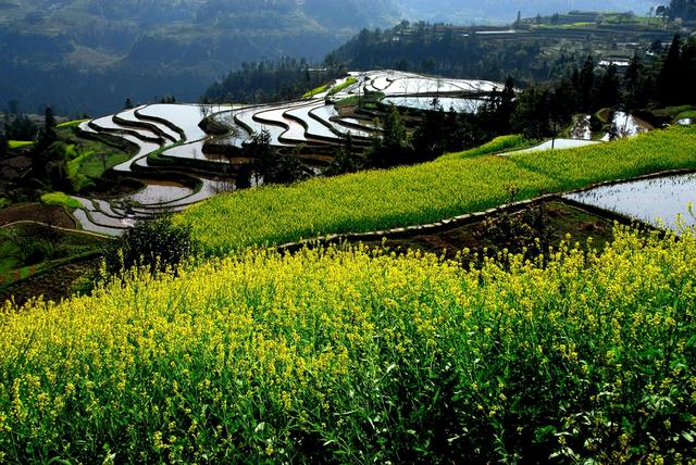 江津关胜：岁月沉淀的土地