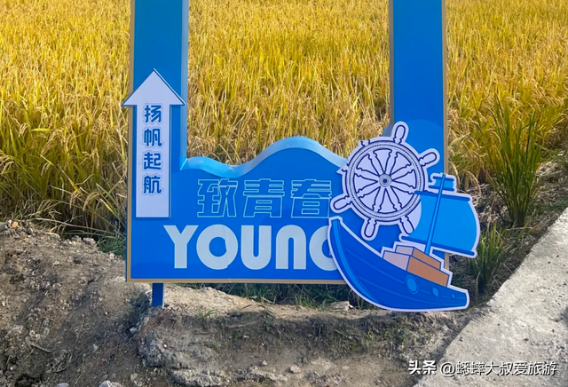 集合飞机、稻田、遛娃、日落为一身的杭州“浪漫公园”，80%好评