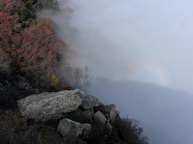 云海翻涌 宝光乍现 泰山秋日胜景引人沉醉