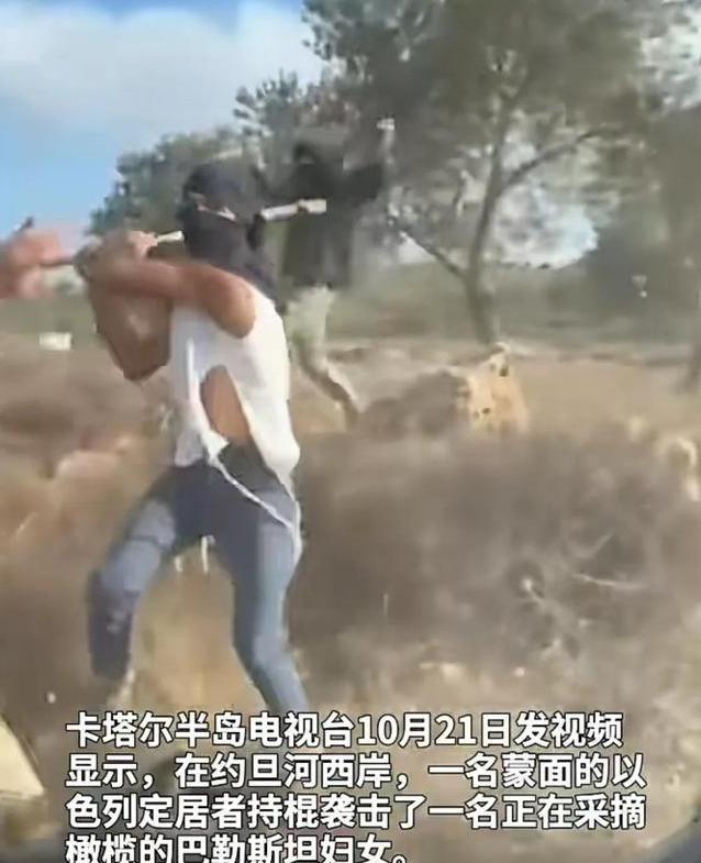 简直不配为人！联合国报告揭开加沙残酷真相，以色列恶心嘴脸曝光