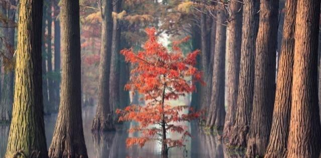 性秘密：大部分女人最想和男人保持长期联系，最终的目的是这二点