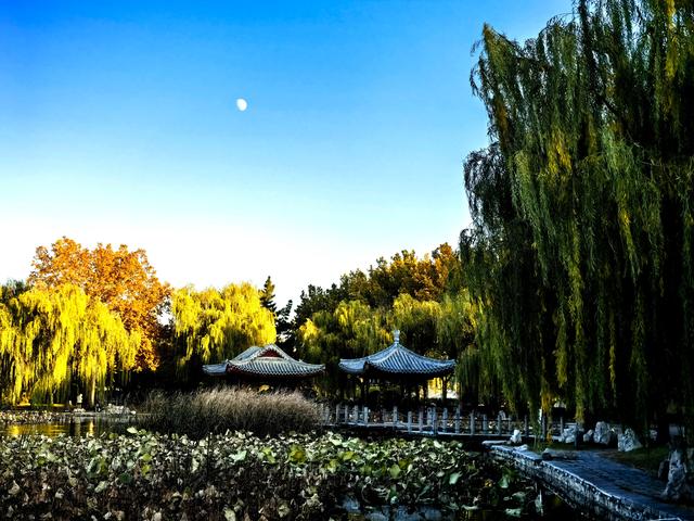 半烟火半诗意：潍坊园林的美，从不被定义