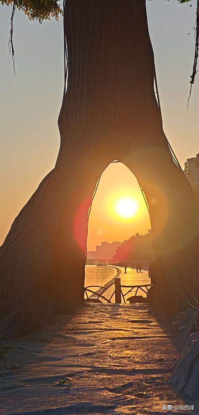 诗一首:日落咸阳湖