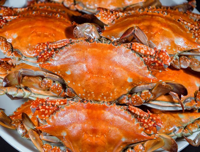 在山东这个“神仙小城”，远离人潮，过几天山海相依、文墨飘香的日子