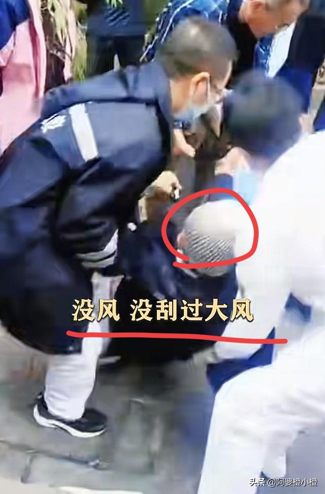 突发！武侯祠百年古柳轰然倒伏，两名游客被砸送医，现场细节曝光