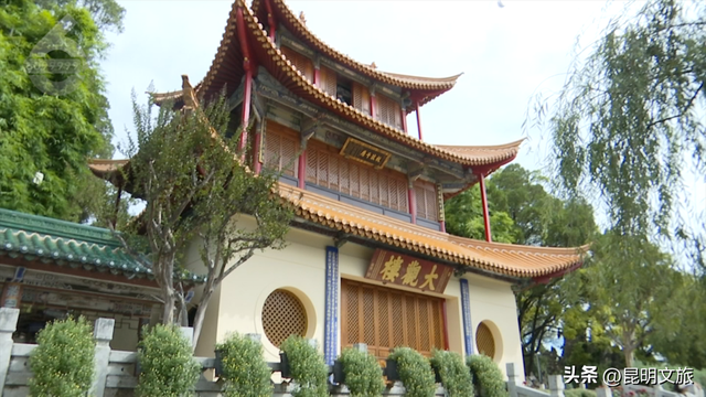 国庆不必远行！大观楼菊花瀑布美成仙境了！10月1日开幕→