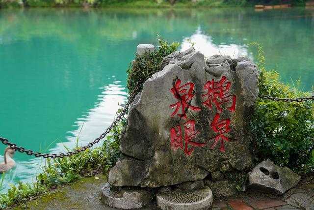 靖西鹅泉，西南三大名泉之一，还是德天瀑布的源头