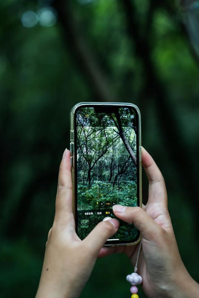 张家港很火的「线路」，后悔没早点去打卡