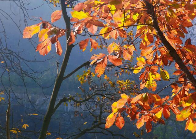 出片率100%！西安爬山赏秋打卡地推荐！速约→