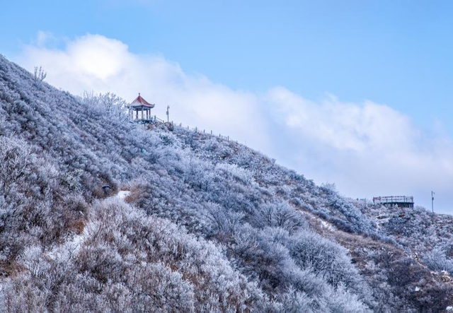 冬天到，金普“雪”漂亮！