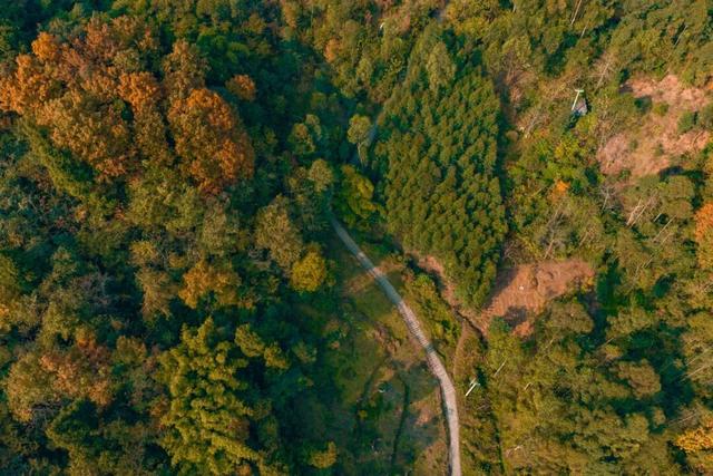 彭州这条“世界级”徒步线，走起！