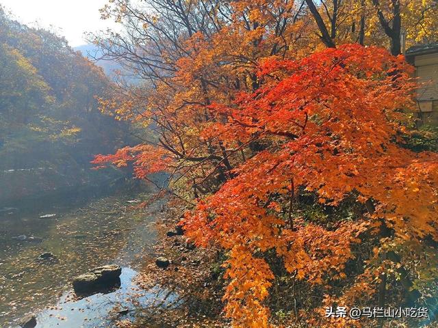 辽宁本溪旅游打卡攻略 | 枫叶之都的浪漫之旅