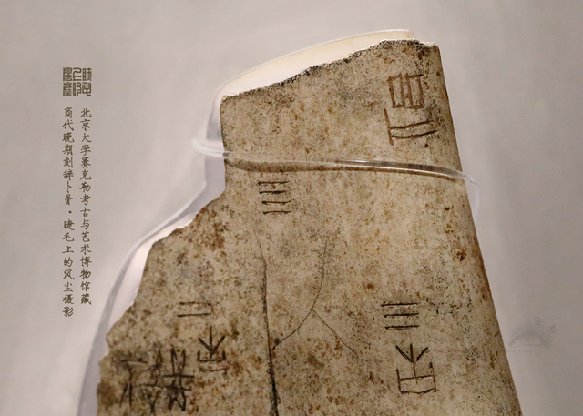 北京大学馆藏探秘：商代晚期刻辞卜骨，解锁千年占卜密码