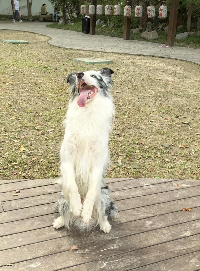 太仓长假隐藏玩法曝光！