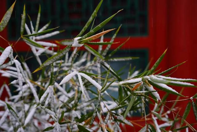 雪落石景山，美景入画来！石景山这里的雪景大片，请您欣赏！