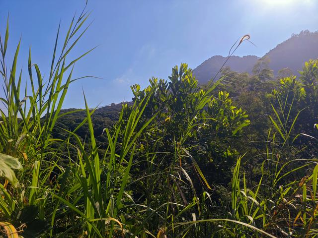 塘朗山郊野公园[绿平二路入口]骑行爬坡好地方