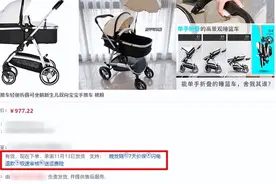 自卖自买“退差价”骗取京东补贴200万，9名团伙成员被抓图片