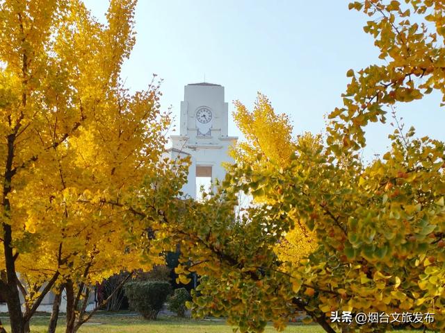 【乐游烟台】十月好去处丨别眨眼！接下来的烟台美到封神