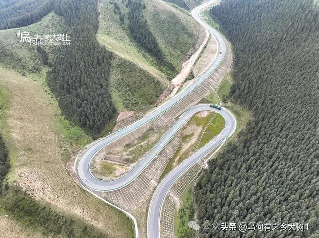 沿着338国道,从古浪县进入天祝县藏区,山谷里全是牦牛