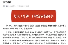 基本农田大量槟榔苗被清理？海南定安通报：已多次劝导图片