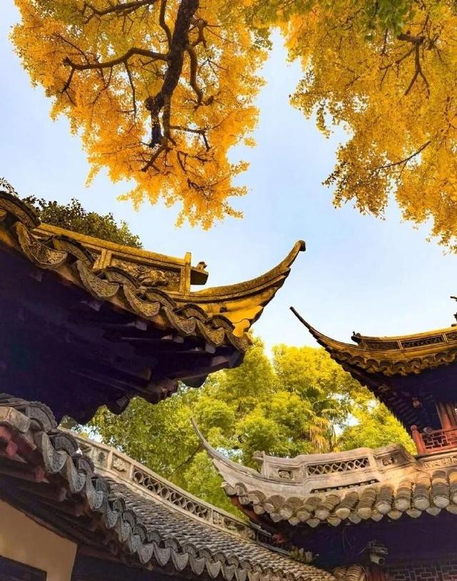 十二月暖阳拥抱着城市，古典园林披上迷人华服 我内心瞬间归于宁静