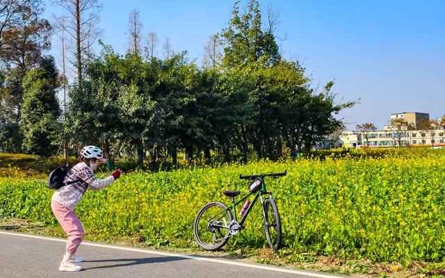 赏花何必等春！这个冬天，成都花儿都开men了→