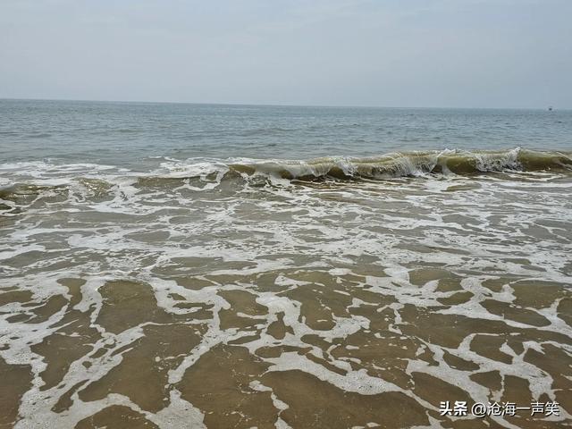 浪花一朵朵，浪声一阵阵，欢笑一片片，抓住暑期的尾巴尽情欢乐吧