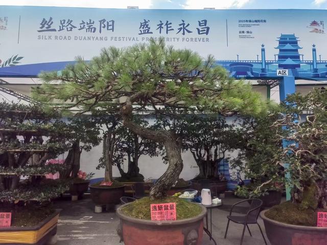 在保山观光旅游