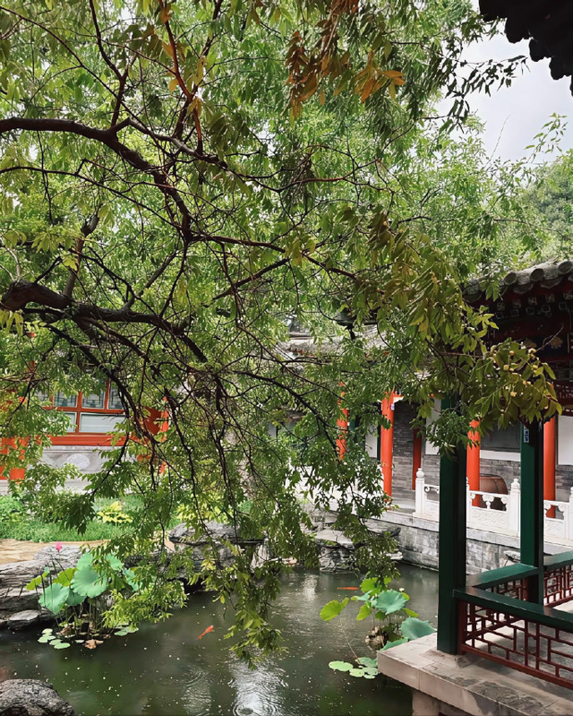 李湘为什么这么有钱？在平台晒自家北京小院，大到让网友以为景区