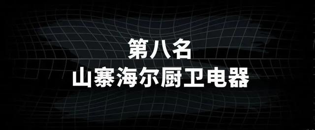 十大假冒山寨擦边球烟机灶具热水器，占据厨电市场半壁江山