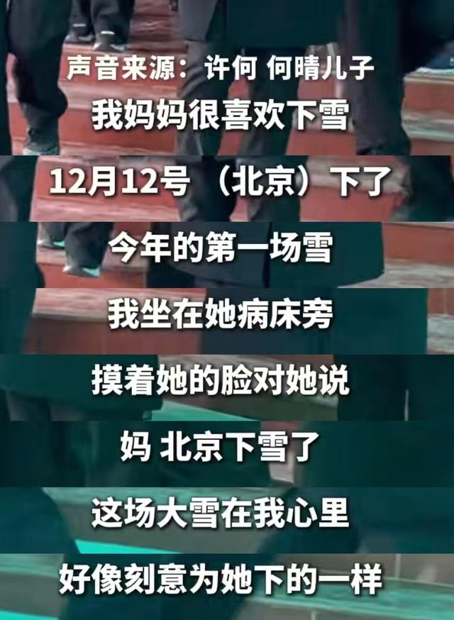 何晴临终状态曝光！昏迷几天后用尽全力拉住儿子的手，母爱太催泪