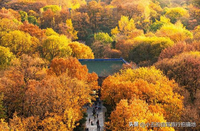 11月旅游的目的地推荐|每一个都是出片圣地的存在