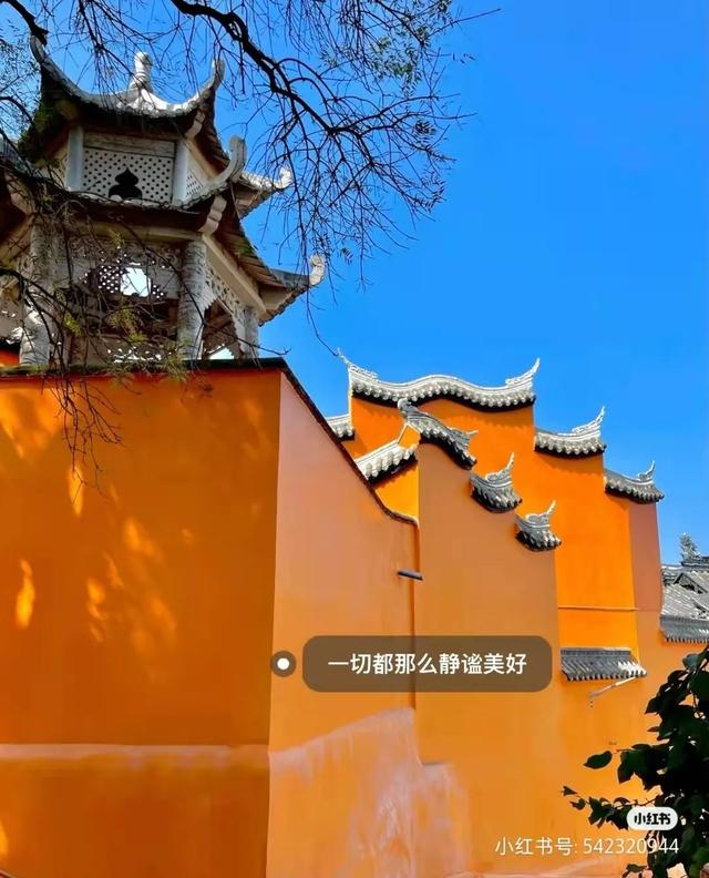 比大理浪漫！比昆明更近！高铁直达阳光小城，2万株蓝花楹美疯！观海登山，美食吃到爽！