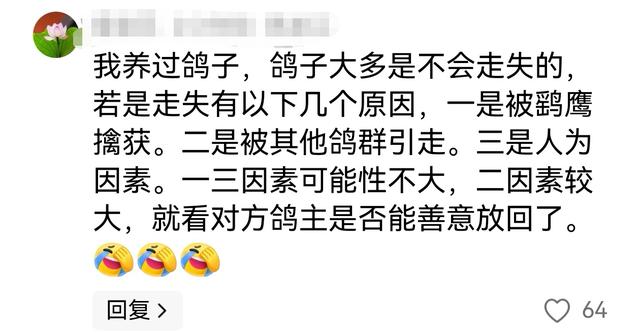 8万和平鸽放飞走失数十只后续：走失原因曝光挺特殊，网友立大功