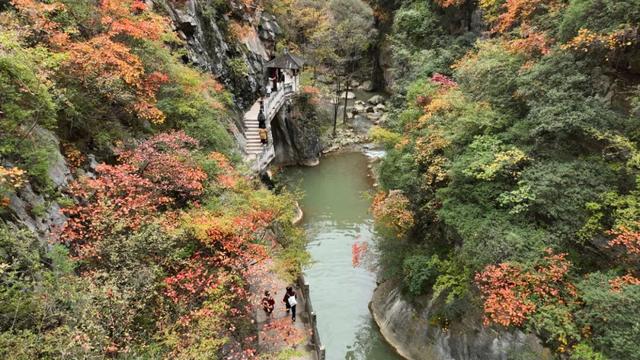 这才是秋天该有的样子~