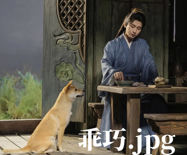 “霜眉”“普福”“将军负印”……老祖宗教你如何给小猫起名字