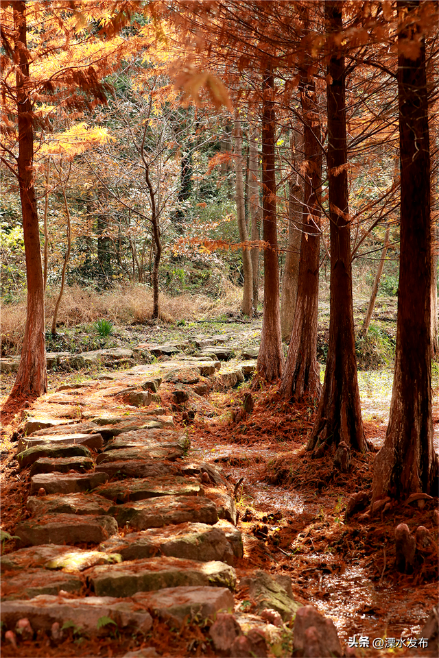 国家级“天然氧吧”，马上冲！