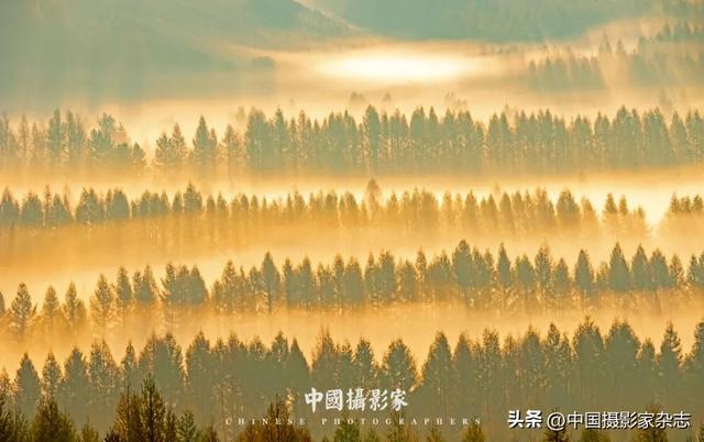 林树国｜塞罕坝林海之歌