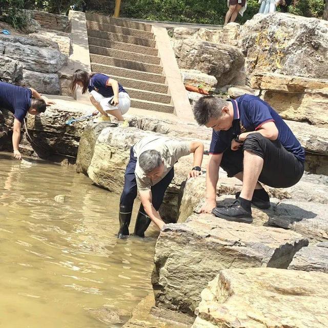 以初心净碧水 蒙山用行动守护每一份遇见