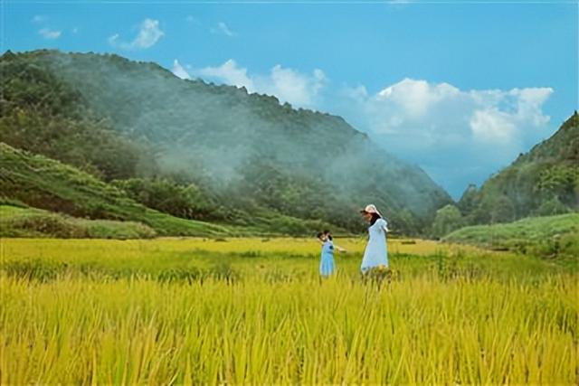 【风景这边独好】如莱山居：藏于金华山间的诗意秘境