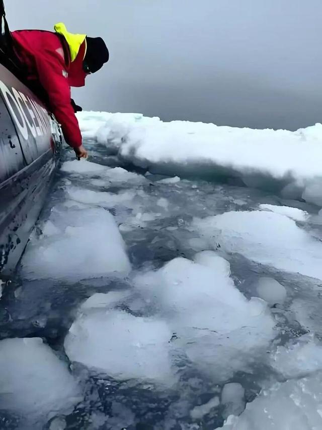 “南极旅游从20万跌至5万”爆火，网友称“去得起但用不起网”，1G流量超万元；5万玩南极不现实
