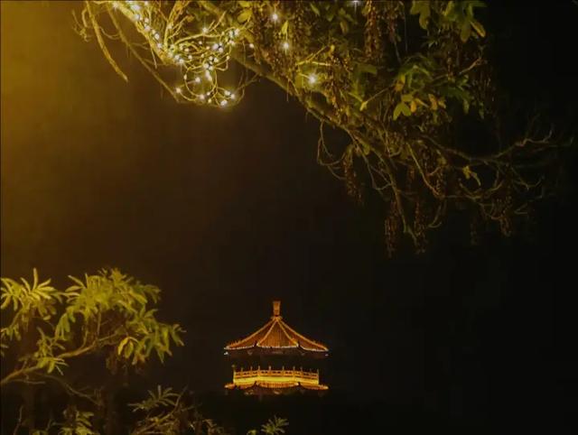 虎山公园夜游渐火 光影交织引客来