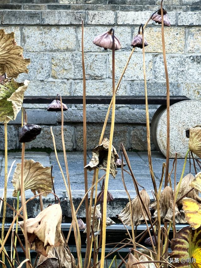 济南哪里最江南？