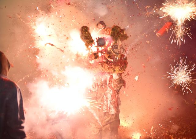 攻狮子、大巡游……元宵节，来德庆狂欢一整日！