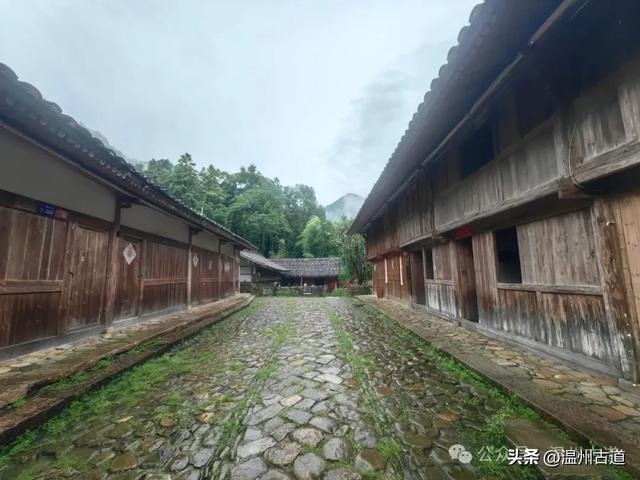 温州这个免门票的小众隐世宝地你可去过?