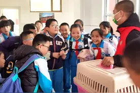 “蹦迪鸟”闯入校园！竟是国家二级保护动物图片