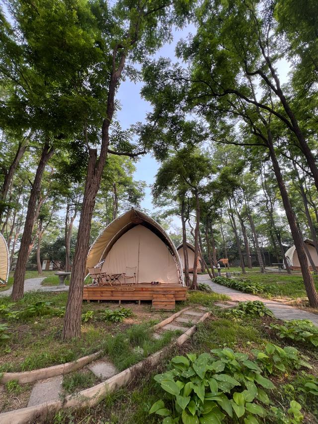 为什么越来越多的年轻人，喜欢上了露营？