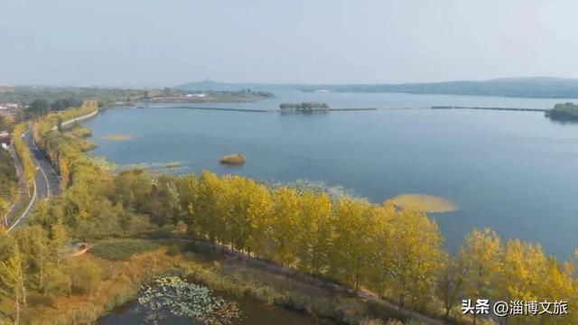 🤏捡捡捡,淄博惊现“捡秋”大神!海岱楼、周村大街…全被捡出来了→