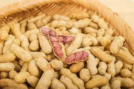 吃生花生和熟花生有何区别？中医：养生功效差别大，你吃对了吗图片